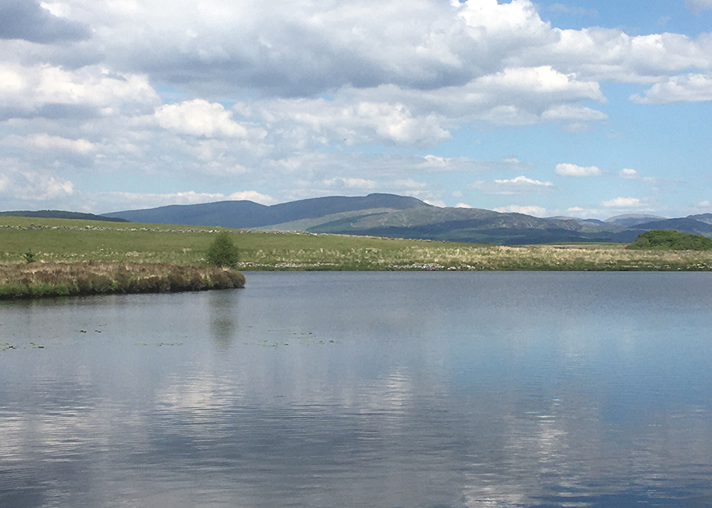 Loch Ochiltree - Newton Stewart & District Angling Association